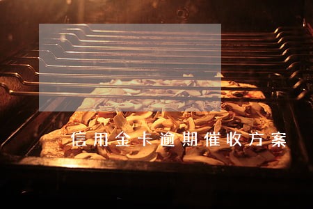 信用金卡逾期催收方案 信用金卡逾期催收方案