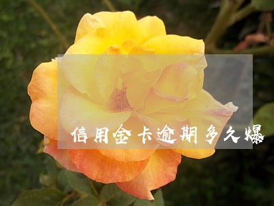 信用金卡逾期多久爆 信用金卡逾期多久爆