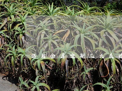 信用金库逾期几天轰炸 信用金库逾期几天轰炸