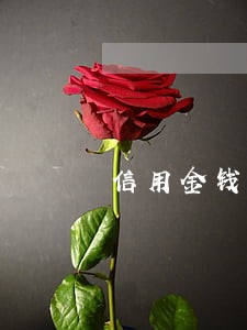 信用金钱包逾期利息怎么算的 信用金钱包逾期利息怎么算的