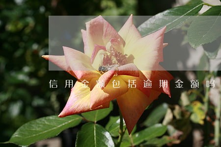 信用金额包括逾期金额吗 信用金额包括逾期金额吗
