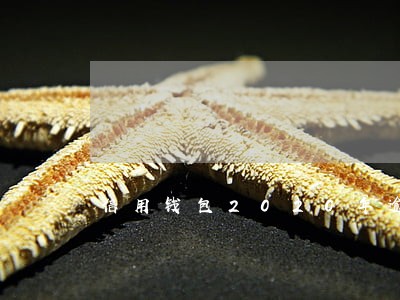 信用钱包2020年逾期 信用钱包2020年逾期