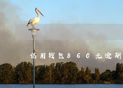 信用钱包860元逾期一个会怎样