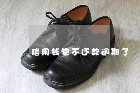 信用钱包不还款逾期了 信用钱包不还款逾期了