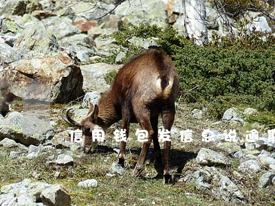 信用钱包发信息说逾期了 信用钱包发信息说逾期了