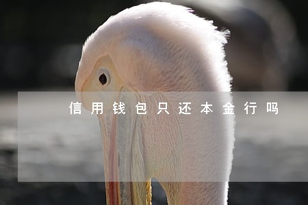 信用钱包只还本金行吗 信用钱包只还本金行吗
