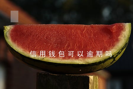 信用钱包可以逾期吗 信用钱包可以逾期吗