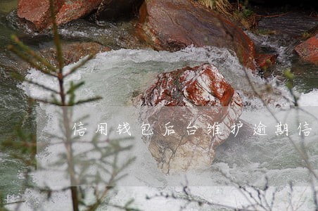 信用钱包后台维护逾期信用