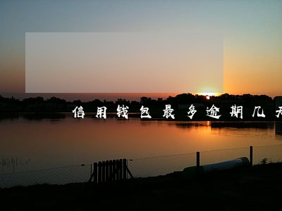 信用钱包最多逾期几天 信用钱包最多逾期几天