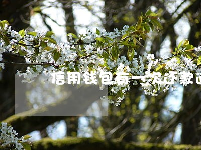 信用钱包有一次还款逾期十天 信用钱包有一次还款逾期十天
