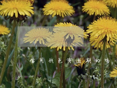 信用钱包有逾期的吗 信用钱包有逾期的吗