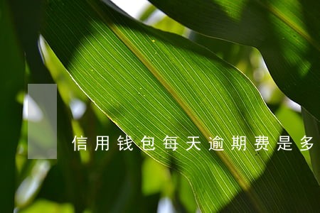 信用钱包每天逾期费是多少 信用钱包每天逾期费是多少