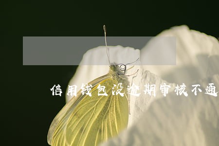 信用钱包没逾期审核不通过 信用钱包没逾期审核不通过