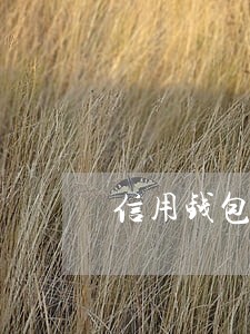 信用钱包让我只还本金