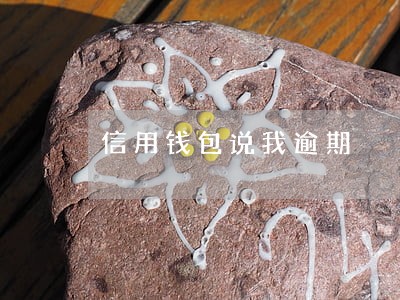 信用钱包说我逾期 信用钱包说我逾期