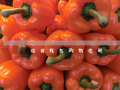 信用钱包购物逾期 信用钱包购物逾期