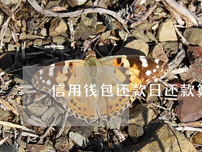 信用钱包还款日还款算逾期吗 信用钱包还款日还款算逾期吗