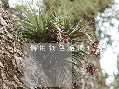 信用钱包逾期1天会怎么样 信用钱包逾期1天会怎么样