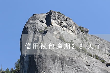 信用钱包逾期28天了 信用钱包逾期28天了