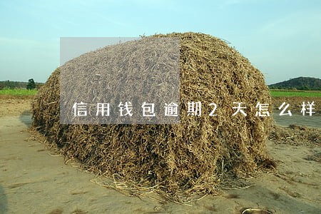 信用钱包逾期2天怎么样 信用钱包逾期2天怎么样