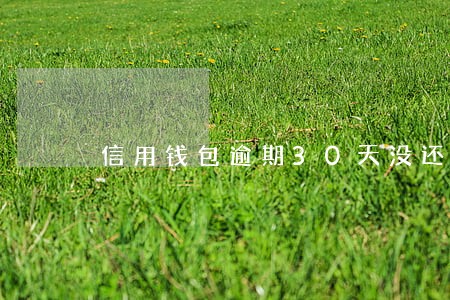 信用钱包逾期30天没还会怎么样 信用钱包逾期30天没还会怎么样