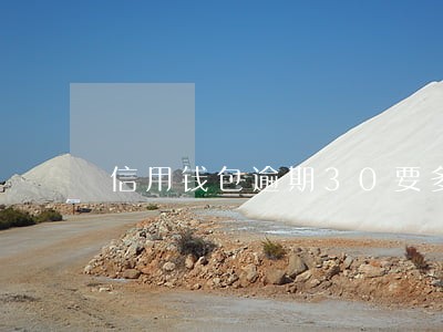 信用钱包逾期30要多少利息