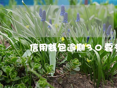 信用钱包逾期30要多少利息吗 信用钱包逾期30要多少利息吗