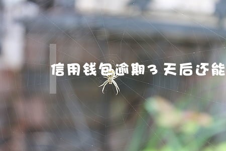 信用钱包逾期3天后还能借吗