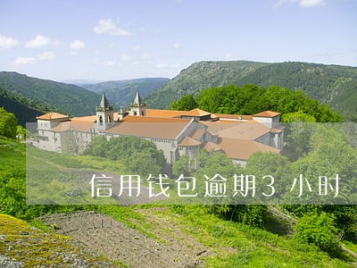信用钱包逾期3小时 信用钱包逾期3小时