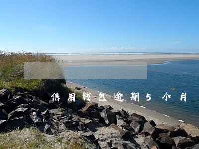 信用钱包逾期5个月 信用钱包逾期5个月