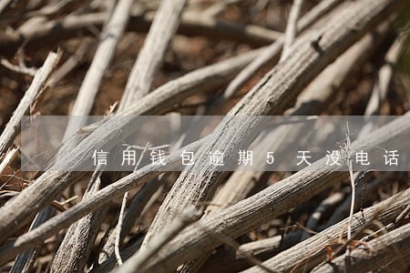 信用钱包逾期5天没电话 信用钱包逾期5天没电话