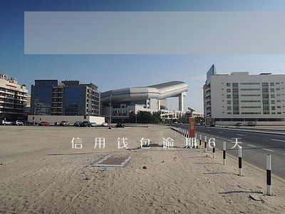 信用钱包逾期6天