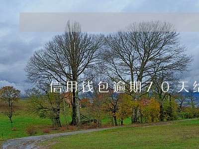 信用钱包逾期70天给减免吗 信用钱包逾期70天给减免吗