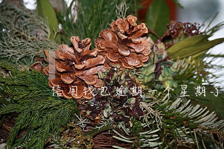 信用钱包逾期一个星期了 信用钱包逾期一个星期了