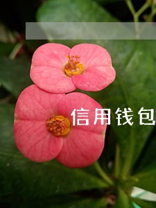 信用钱包逾期一个月上征信吗 信用钱包逾期一个月上征信吗