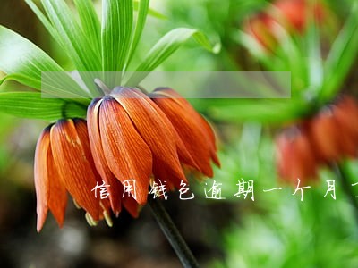 信用钱包逾期一个月了怎么办