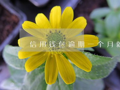信用钱包逾期一个月就要上门 信用钱包逾期一个月就要上门