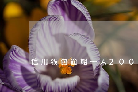 信用钱包逾期一天200 信用钱包逾期一天200