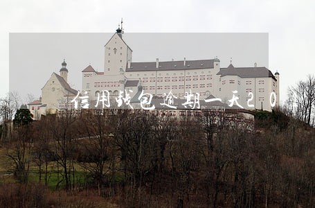 信用钱包逾期一天2017