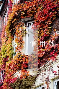 信用钱包逾期一天80块 信用钱包逾期一天80块