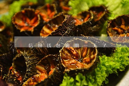 信用钱包逾期一天了 信用钱包逾期一天了