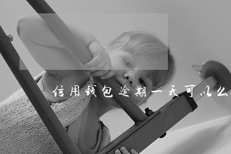 信用钱包逾期一天可以么 信用钱包逾期一天可以么