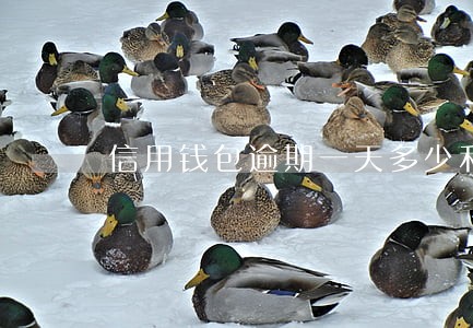 信用钱包逾期一天多少利息吗 信用钱包逾期一天多少利息吗