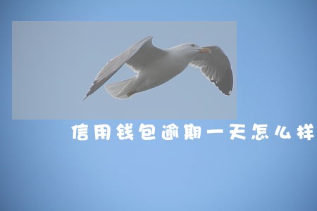 信用钱包逾期一天怎么样 信用钱包逾期一天怎么样