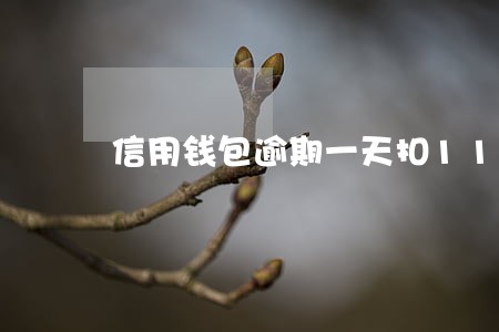 信用钱包逾期一天扣110 信用钱包逾期一天扣110