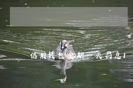 信用钱包逾期一天罚息135元 信用钱包逾期一天罚息135元