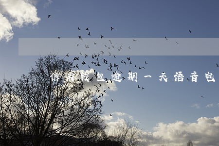 信用钱包逾期一天语音电话 信用钱包逾期一天语音电话