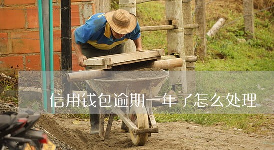 信用钱包逾期一年了怎么处理 信用钱包逾期一年了怎么处理