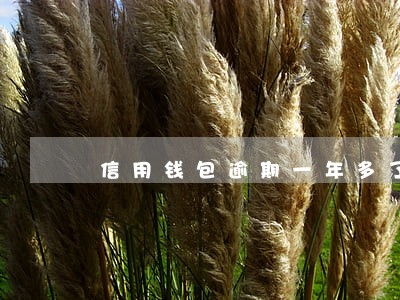 信用钱包逾期一年多了 信用钱包逾期一年多了