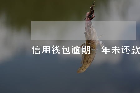 信用钱包逾期一年未还款 信用钱包逾期一年未还款